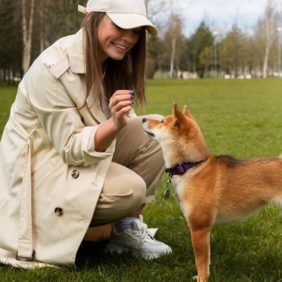 Daily Rotation<br />
Schedule 