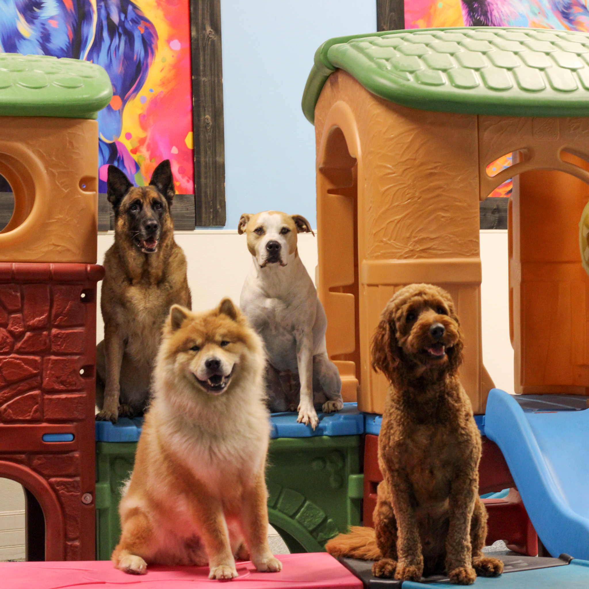 IMG_3492 Pup Camp