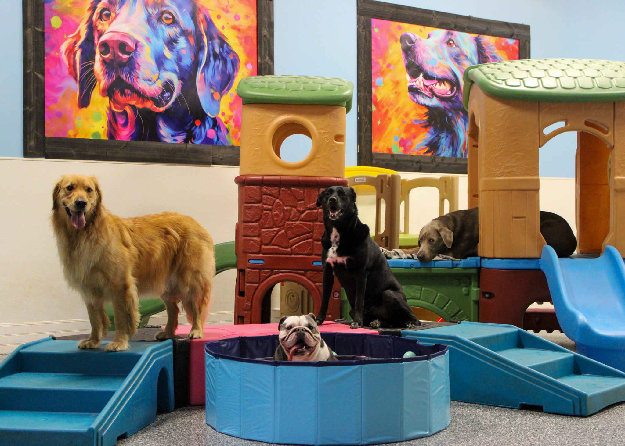 The Pup Camp
